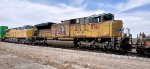 UP 8761